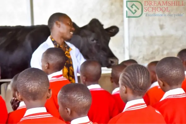 Dreams Hill School School Farm