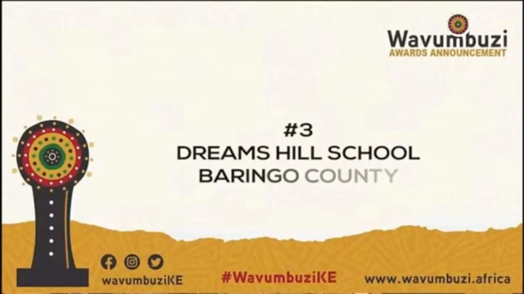 Wavumbuzi Entrepreneurship Challenge 1