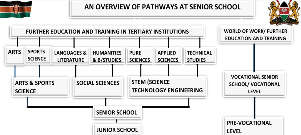 senior school grade 10 selection 2025 1024x462 1